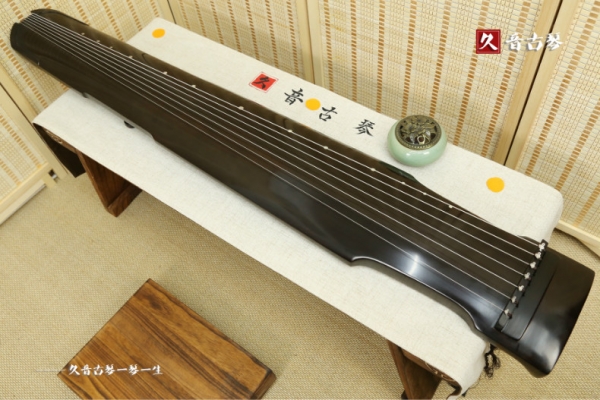 阿坝藏族羌族自治州初级演奏古琴【仲尼式】